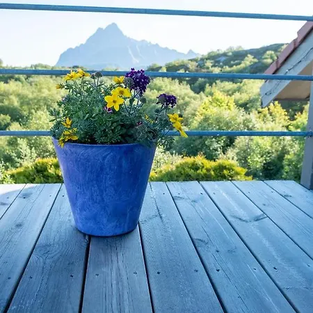 Panorama カベルヴォーグ